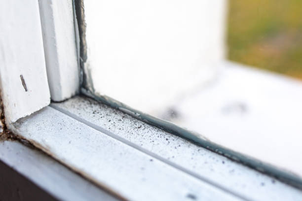 Best Forensic Mold Investigation  in Dahlgren, VA
